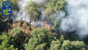 fiamme nel parco